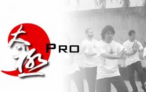 thumb_taijipro