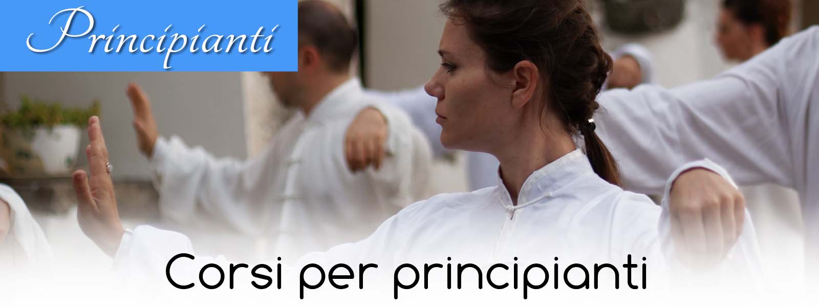 Corso online principianti di Taiji stile Chen